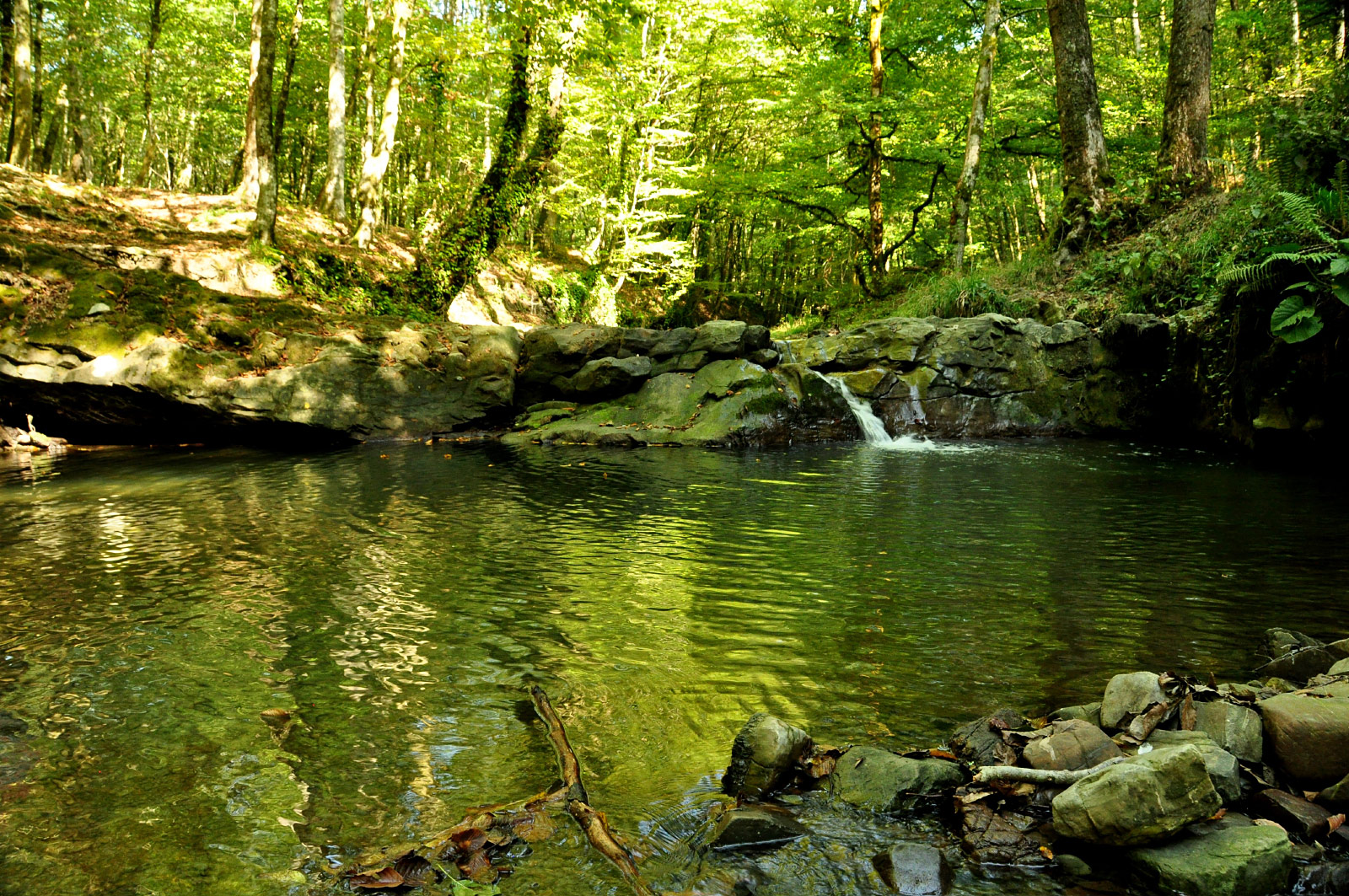 Krasnaya Polyana (Красная Поляна)